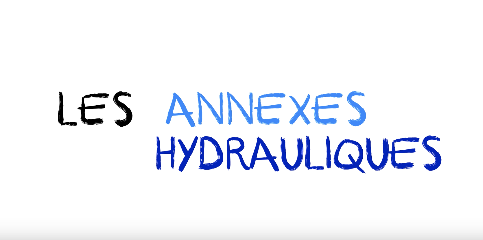 Afficher la vidéo Restaurons les annexes hydrauliques pour la biodiversité
