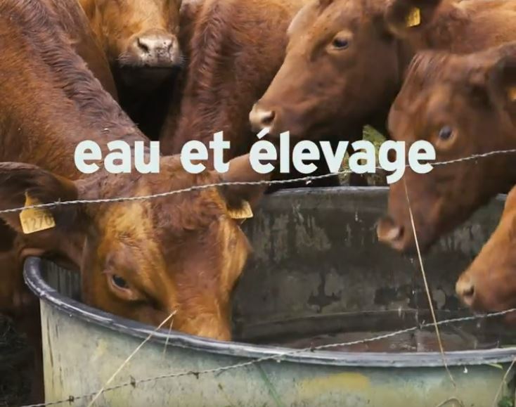 Afficher la vidéo Paroles d'agriculteur : Félix Noblia - polyculture/élevage au Pays Basque