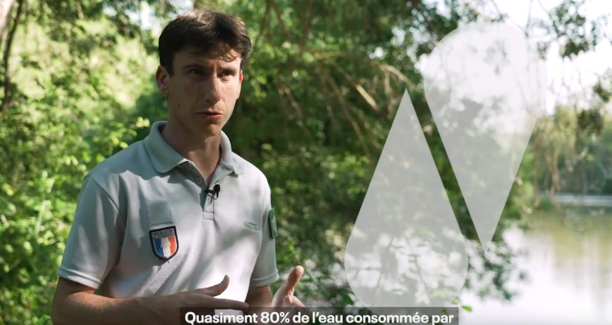 Afficher la vidéo Aux portes de Toulouse,  la nature rend des services utiles