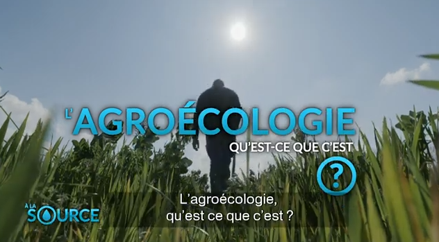 Afficher la vidéo À la source // Qu'est-ce que l'agroécologie