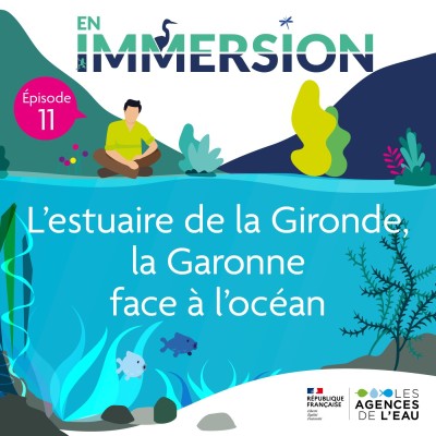 En Immersion - L'estuaire de la Gironde, la Garonne face à l'océan