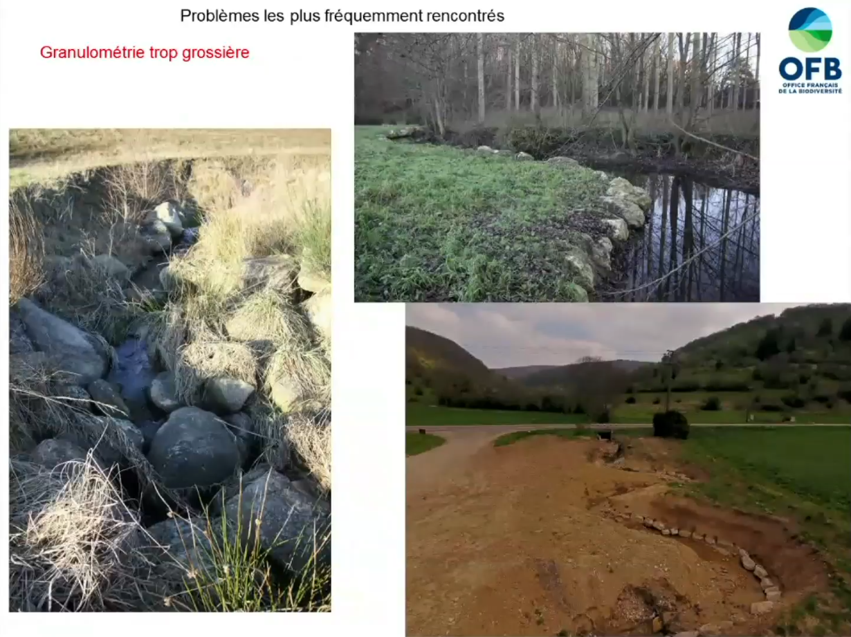 Afficher la vidéo Journée technique de la gestion sédimentaire des cours d'eau - 16 mai 2023 (3ème partie)