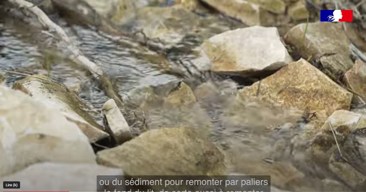 Afficher la vidéo Manque d'eau : les Solutions fondées sur la Nature