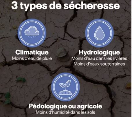Afficher la vidéo Les 3 types de sécheresse