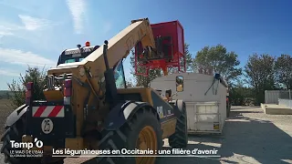 Afficher la vidéo Les légumineuses en Occitanie : une filière d'avenir