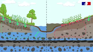 visuel schéma illustratif agroécologie VS agriculture traditionnelle