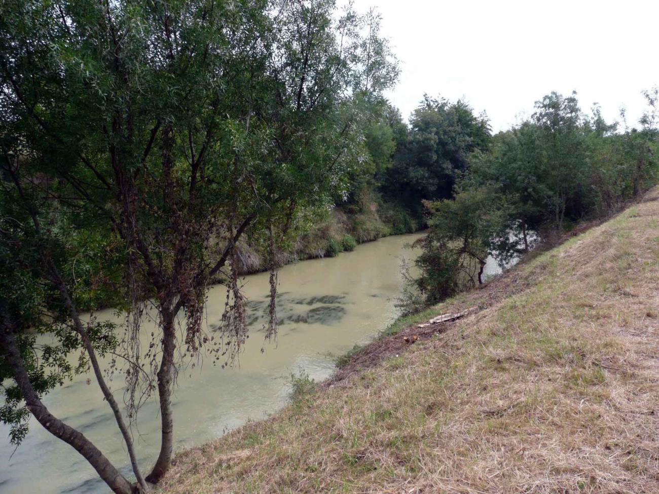 Photo d'un cours d'eau avant les travaux de restauration de l'Hers. Le cour d'eau n'est pas maitrisé