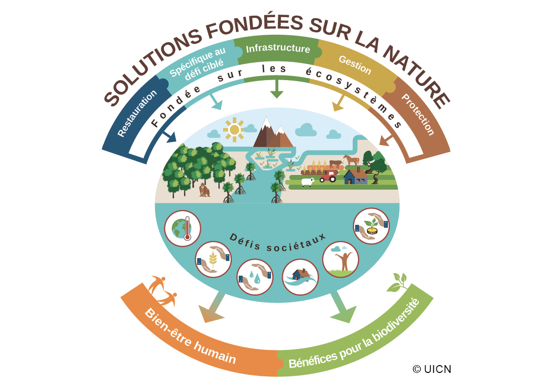 Solutions fondées sur la Nature et agence de l’eau Adour-Garonne : un objectif commun ?